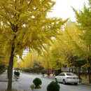 초림초교 앞 이미지