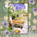 드라마촬영장 | [공지] 아이유 드라마 촬영장 팬 서포트 | 연예인 케이터링 실제 후기