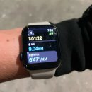 옥정초등학교 | 캘프 옥수, 수제버거와 고구마튀김이 맛있는 옥수역 맛집