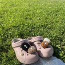 분당미래약국 | 분당제일여성병원 백혜린 선생님 시험관 신선이식 1차 후기 : 시험관 과정 / 일정 / 절차 / 비용 / 병원...