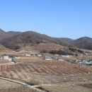 보리촌
