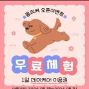 몽리케 이미지