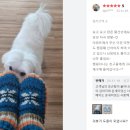 추운 겨울 발이 따뜻해지는 방법 온새미덧신 리뷰 후기글