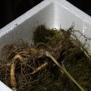 순박산골 이미지