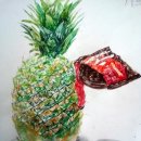 수채화1 이미지