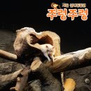 입장초등학교 | 영등포역 놀거리! 서울 실내동물원 주렁주렁 영등포점 (가격, 주차, 할인)