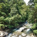 용추구곡 Daum카페
