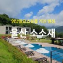 울산 소소재 펜션 주변 맛집, 추천 호실, 시설 총정리