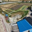 금갑해수욕장 이미지