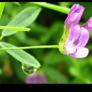 산책길에 이미지