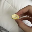 [라코루냐 교환학생] 개강 후 일상 이야기🍀