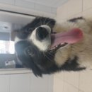 남해-311 이미지