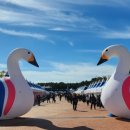 사하예술제 이미지