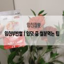 임산부 빈혈수치 및 액상철분제 복용시기 복용시간