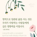 일관 이미지