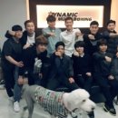 다이나믹 복싱 이미지