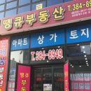 새실공인중개사사무소 이미지