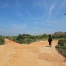 내화농장 이미지