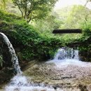 재준농장 이미지