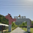 나뱅이길 | 강원도 영월 아이랑 여행 달빛동물원 먹이주기 승마체험