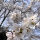 사파무궁화아파트 | 창원 사파 무궁화아파트 리모델링후 입주청소업체추천~