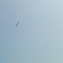옛날경주숯불 - 24816 | 옛날경주숯불