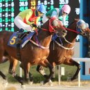 국제신문 이미지