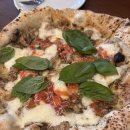 도디치 | 뚝섬/성수 화덕피자 맛집 도디치｜2023 한국피자대회 1위 나폴리피자 찐맛집