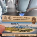 [24.4.6-8] 24년 첫캠핑 마지막날 안동하회마을