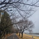 유성구종합사회복지관 수영장 이미지