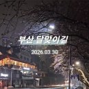 부산우동점 굽네치킨 이미지