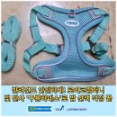 주식회사 펫라이프 | [공지] 반려견도 안전하게! 로이코컴퍼니 빛 반사 &#39;구름 하네스&#39;로 밤 산책 걱정 끝