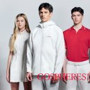 고스피어 카카오 검색결과