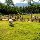 놀이터목장 이미지