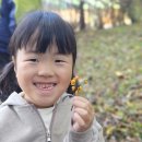 실내초병설유치원 이미지