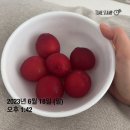 임신 6-9주차 일상 / 심장소리, 젤리곰 초음파, 산후조리원 예약, 이명 증상 등