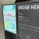 월드사무용가구 - 서구 백범로 804 | 롯데월드 근처 호텔 '오로시에호텔' 가성비 서울호캉스추천 잠실 호텔 추천