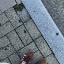 아디다스 버뮤다 프리러브 브라운 JH9088 230사이즈 내돈내산 후기 올 가을신발로 당첨쓰 실물짱 🤎