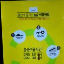놀숲 대전도안점 이미지