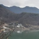 춘구농장 Daum카페