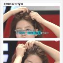 해바라기 헤어라인 이미지