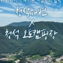 거금도 청석 오토캠핑장 이미지