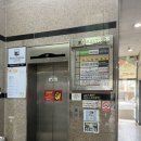 라온스크린 이미지