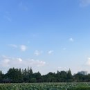 연꽃도서관 이미지