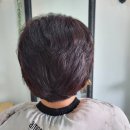 노은머리염색 네이버블로그