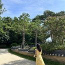 일동파출소 | 양양여행 낙산사 카페 다래헌과 낙산항 바다 수영