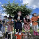 월성유치원 이미지