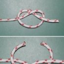 안녕, 펫 이미지