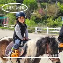 승마장 | 파주 그랜드승마장, 42개월 어린이 승마체험 후기