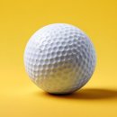 양지골프연습장 이미지